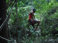 /album/galeria-de-fotos/a268-jpg/